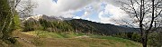 54 I prati fioriti della Pigolotta visti dai pressi della cima del Monte Pigolotta (1504 m)